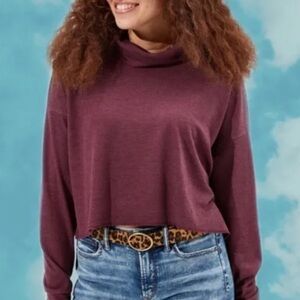 American Eagle Outfitters Plum Turtleneck Sweater
